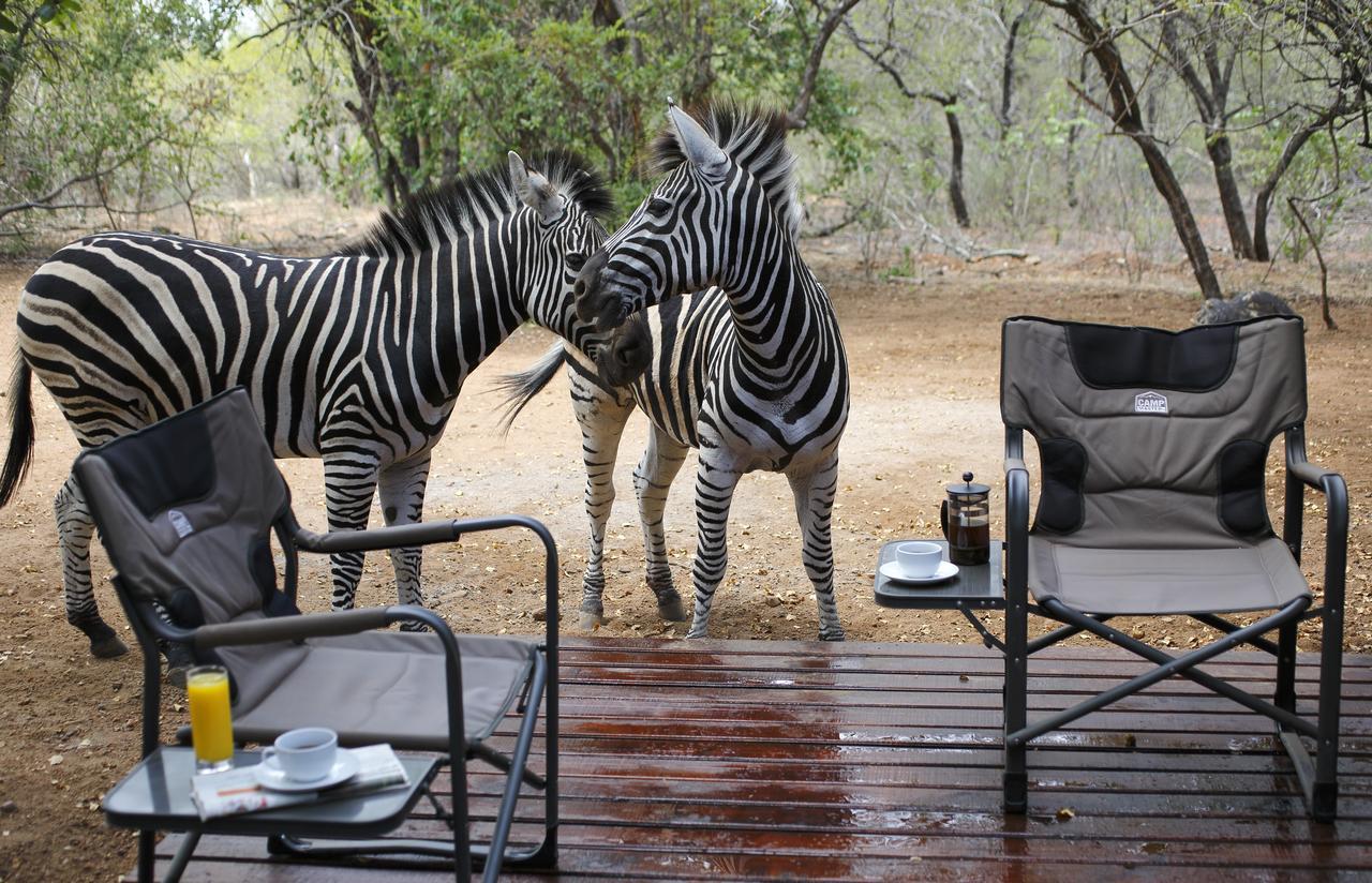 Tusk Bush Lodge Marloth Park Exteriér fotografie