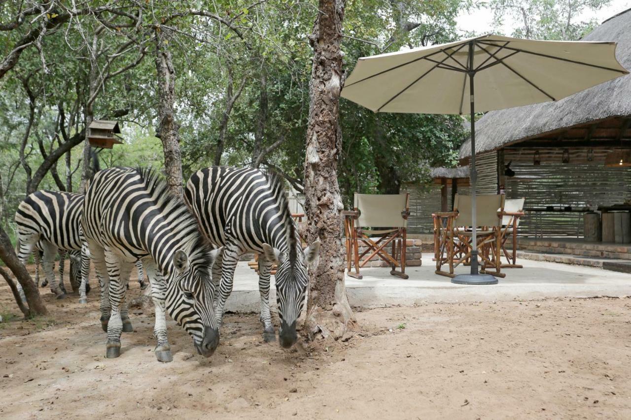 Tusk Bush Lodge Marloth Park Exteriér fotografie