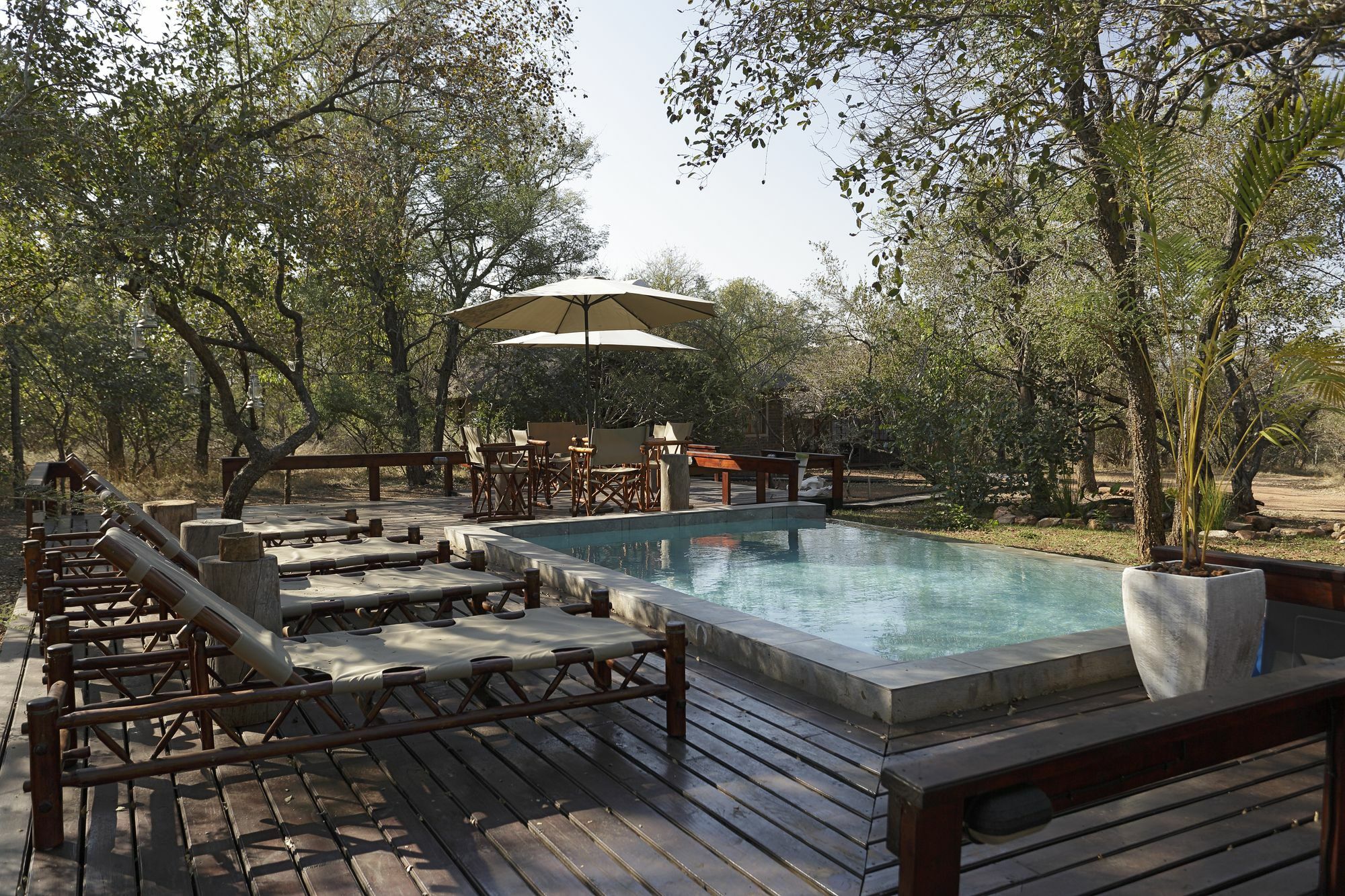 Tusk Bush Lodge Marloth Park Exteriér fotografie