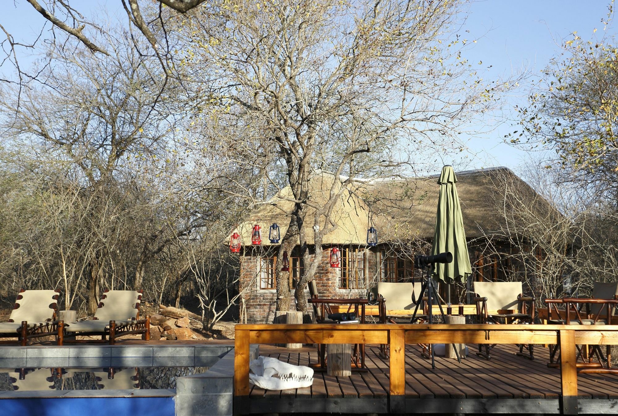 Tusk Bush Lodge Marloth Park Exteriér fotografie