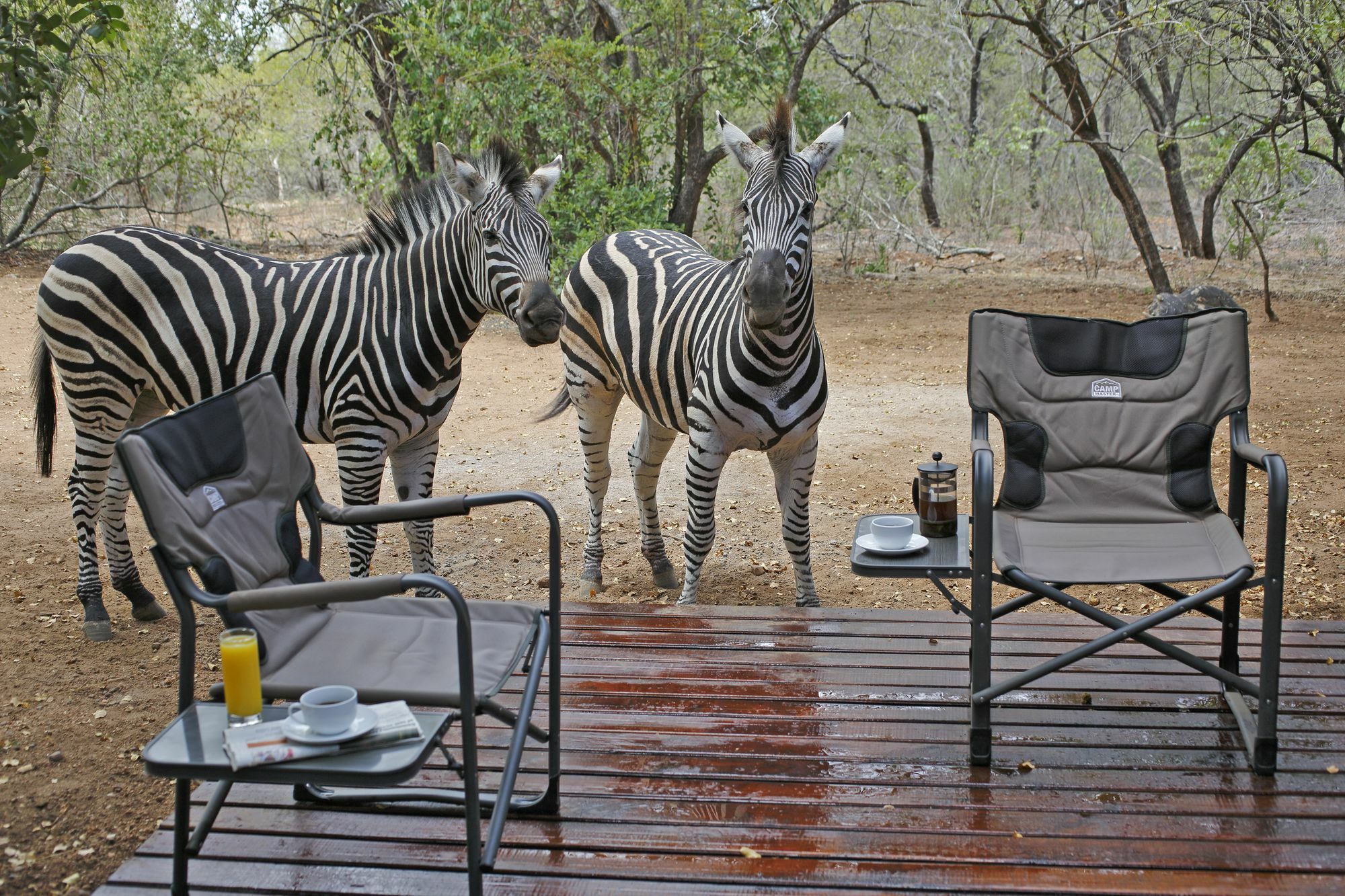 Tusk Bush Lodge Marloth Park Exteriér fotografie