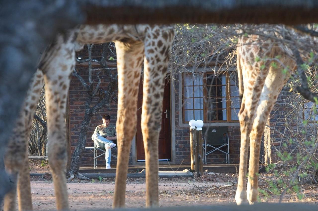 Tusk Bush Lodge Marloth Park Exteriér fotografie