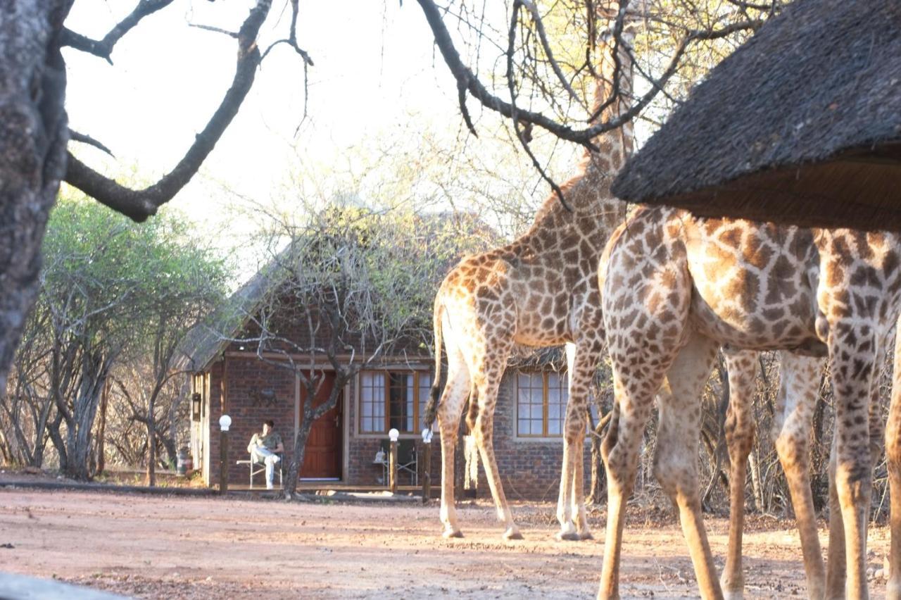 Tusk Bush Lodge Marloth Park Exteriér fotografie